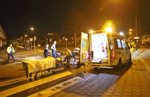 12 december Fietsster zwaargewond na valpartij Lindelaan Rijswijk