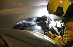 Onbekende probeert busje in brand te steken De Colignystraat Delft