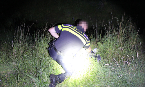 2 september Politieauto in botsing met reiger Zijtwende De Lier