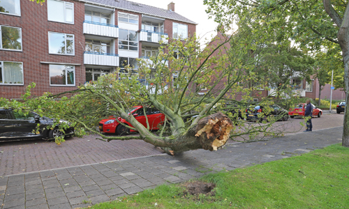 21 september Boom valt rakelings langs auto-eigenaar W.H. Van Leeuwenlaan Delft