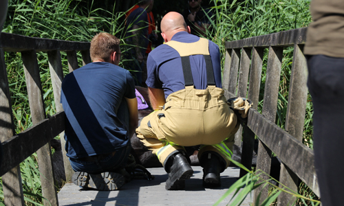 21 juli Paard glijdt uit op brug Pieter van der Sallempad Den Haag