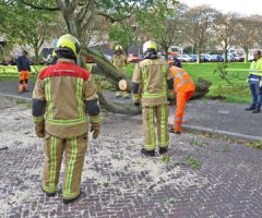 21 september Boom valt rakelings langs auto-eigenaar W.H. Van Leeuwenlaan Delft 21 september Boom valt rakelings langs auto-eigenaar W.H. Van Leeuwenlaan Delft