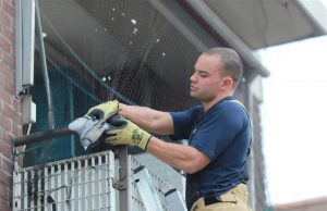 Brandweer haalt duif uit net Papsouwselaan Delft