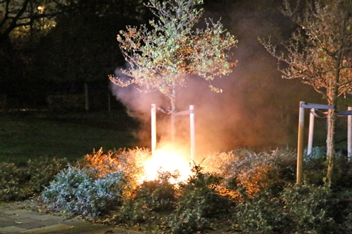 13 november Stapel kranten in brand gestoken bij boom Van Lodensteijnstraat Voorburg