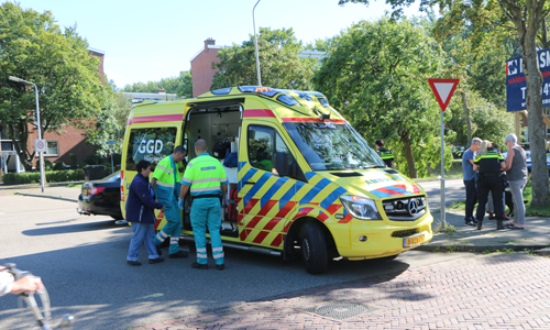22 augustus Persoon en hond gewond bij aanrijding Van Foreestweg Delft