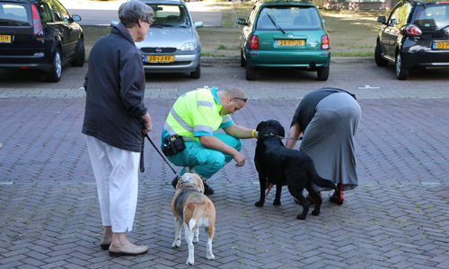 IMG_1163_1