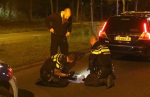 Politie biedt hulp aan aangereden kat Escamplaan Den Haag