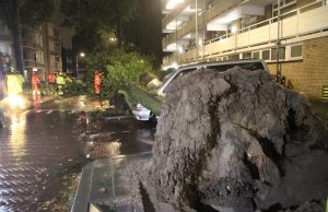 Acht auto’s zwaar beschadigd na drie vallende bomen Gedempte Sloot Den Haag