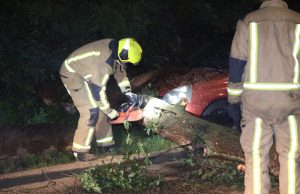 Boom valt om en beschadigd geparkeerde auto Badhuisweg Den Haag