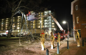 Grote tak valt op geparkeerde auto’s Gaslaan Den Haag