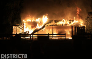 Grote brand verwoest paardenstal Jaagpad Rijswijk