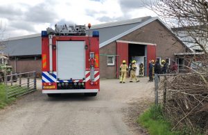 Meerdere koeien overleden na vrijkomen waterstofsulfide (H2S) in stal Broekpolderweg Maasland