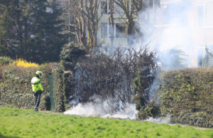 Coniferen haag vliegt in brand, buurtbewoners voorkomen ergen Frank van Borselenstraat Delft