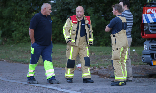 2 juli Brandweer rukt uit voor een loshangende tak Wilhelminalaan Delft