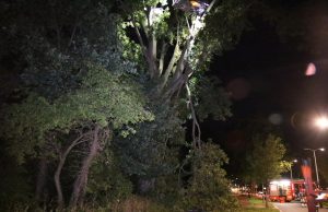 Flinke tak van boom breekt af en hangt boven fietspad Segbroeklaan Den Haag