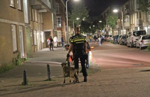 Politie bekogeld met stenen bij beëindigen nachtelijk feest in woning Steijnlaan Den Haag