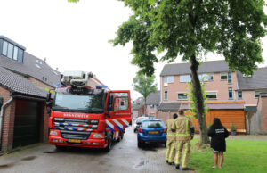 Brandweer haalt ontsnapte agapornis uit boom Spreeuwenstraat Delft