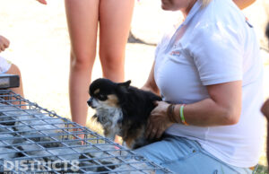 Hondje gered bij woningbrand Vossenzoom Pijnacker