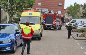 Brandweer redt twee pijltjes uit duiker Parelduiker Monster