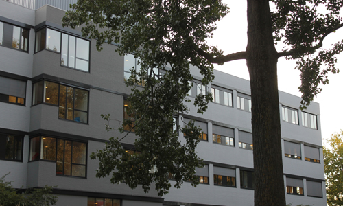 1 september Brandweer zaagt tak boven auto vakkundig af Rotterdamseweg Delft