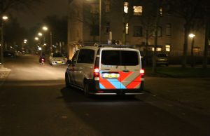 Steekincident blijkt ruzie te zijn, één man aangehouden Meerkoetlaan Delft