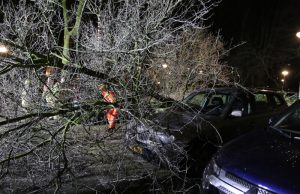 Boom valt om door harde wind en raakt geparkeerde auto Aart van der Leeuwlaan Delft