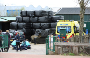 Persoon gewond na valpartij Rotterdamseweg Delft