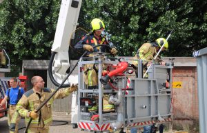 Brandweer redt kaketoe uit boom Sand-Ambachtstraat ‘s-Gravenzande