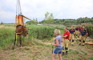 Paard glijdt uit en raakt te water Berckenrode De Lier