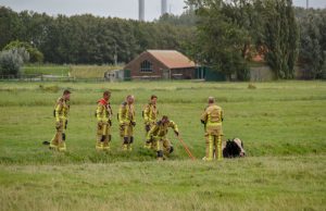 Brandweer redt koe uit sloot in weiland langs de A20 in Maasland