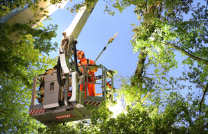 Precisiewerk van de brandweer bij loshangende tak Aan ’t Verlaat Delft