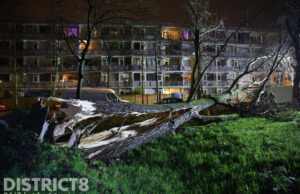 Brandweer ruim twee uur zoet met omgevallen boom Beethovenlaan Delft