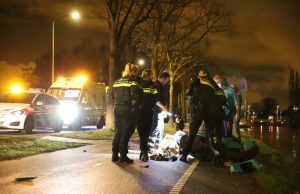 Bestuurder van brommer gewond na knal tegen boom Westvlietweg Den Haag