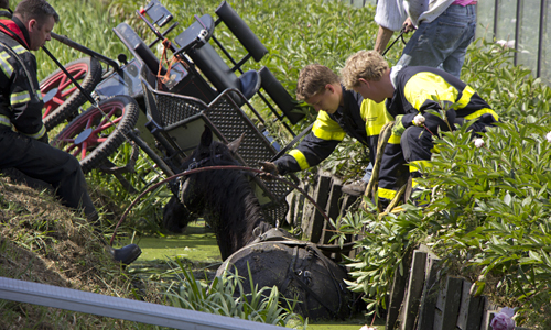 23 mei Paard met koets te water Kralingerweg De Lier