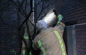 Kat ‘Baloe’ uren vast tussen twee muren aan De Barak in ‘s-Gravenzande
