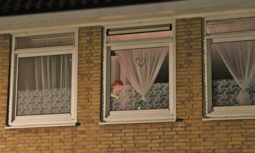 9 augustus Hennepkwekerij ontdekt na melding wateroverlast Koningin Emmalaan Delft