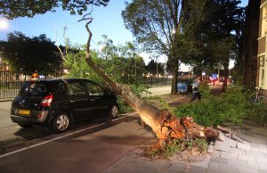 Grote boom valt om op geparkeerde auto Raamweg Den Haag