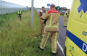 Brandweer en dierenambulance redden gewonde zwaan langs Koningin Julianaweg ‘s-Gravenzande