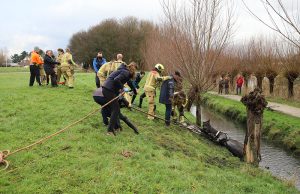 Brandweer en omstanders trekken te water geraakt paard uit sloot Tramkade Den Hoorn