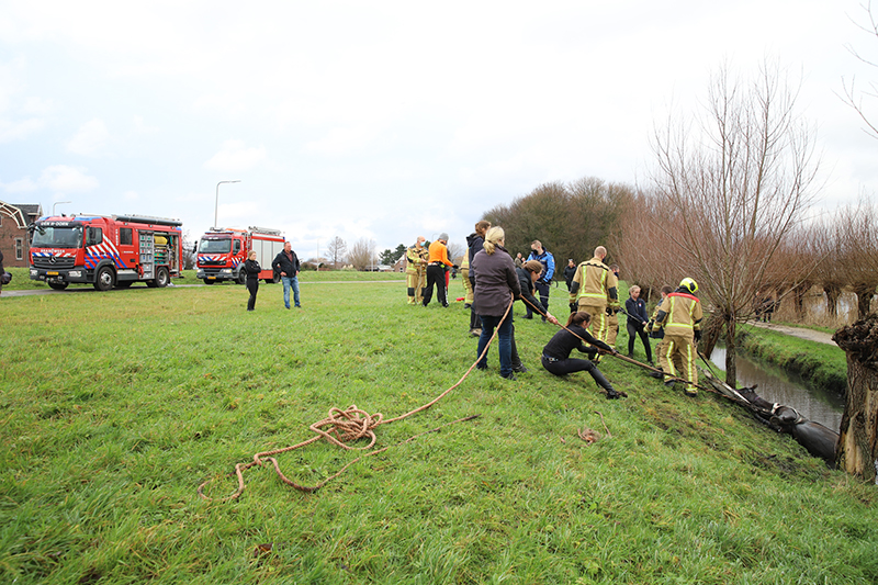 Brandweer En Omstanders Trekken Te Water Geraakt Paard Uit Sloot ...