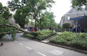 Boom valt op geparkeerde auto Architect Berlagelaan Den Haag