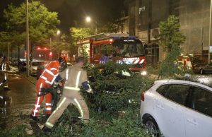 Boom waait om en beschadigd geparkeerde auto Laan van Nieuw-Oost-Indië Den Haag