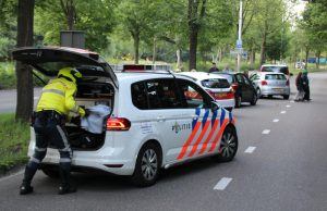 Forse aanrijding om overstekende familie eend te redden Nieuweweg Den Haag