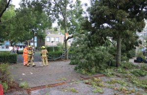 Grote tak breekt af door harde wind Natuurpad Delft