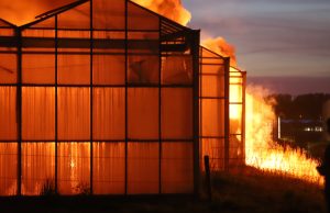 Flinke rookwolken bij brand in kassencomplex De Lier