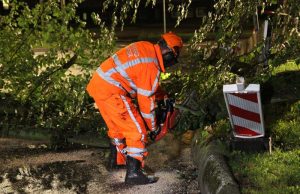 Flinke tak breekt af van boom en blokkeert weg Het Kleine Loo Den Haag