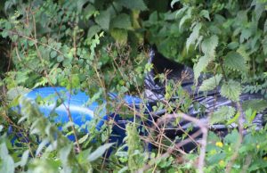 Jerrycans met chemische stof aangetroffen in bosschage Jaagpad Rijswijk