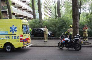 Automobilist schiet door struikgewas heen Heiloostraat Den Haag
