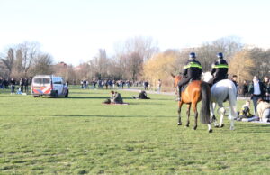 Politie grijpt in bij drukte Westbroekpark Den Haag