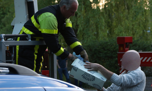 6 juni Brandweer redt vogel uit boom Wallerstraat Delft